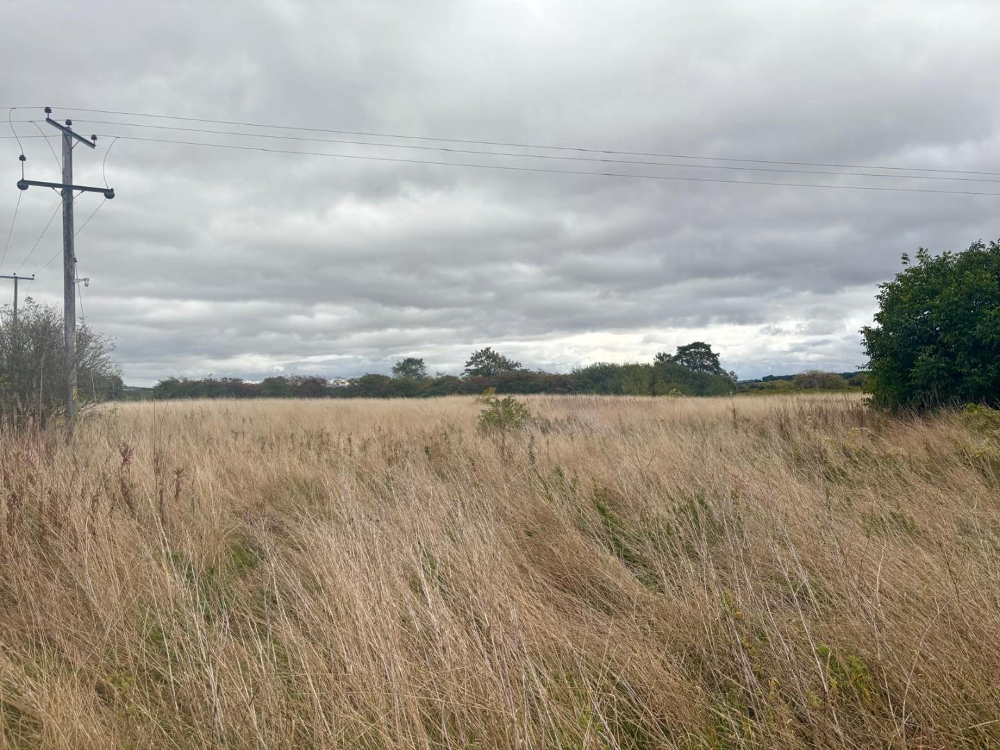 Image of Wellington, Hereford
